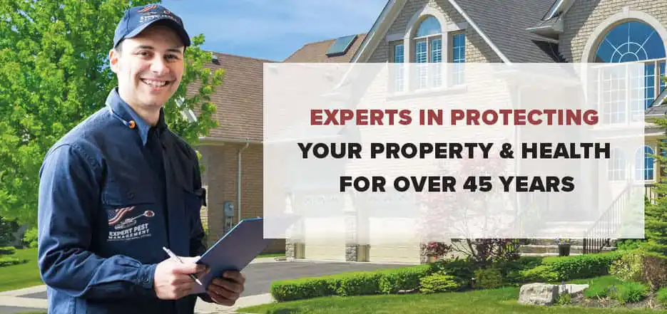 Best Pest Control Services near me | Expert Pest Management | Protect Your Property and Your Health